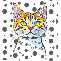 vector illustration of a cat