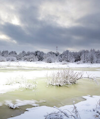 Snowy landscape with a tree in the foreground