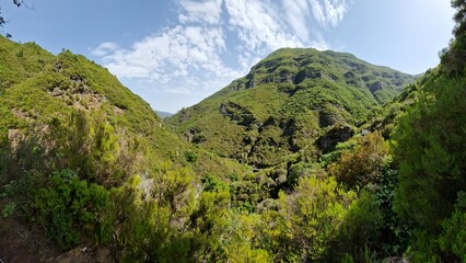 Lush Green Valley Surrounded by Majestic Mountains in Madeira