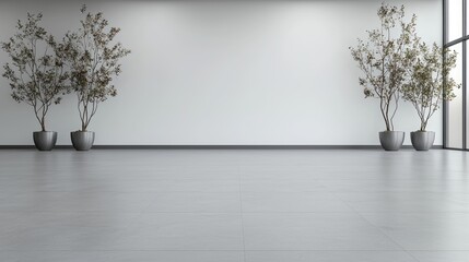 Modern interior empty room with potted trees