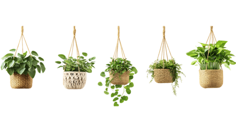 Macrame plant holders for decoration isolated on transparent  background