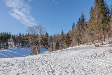 panoramica su di un ambiente naturale nelle montagne della Slovenia, con un ampio campo innevato...