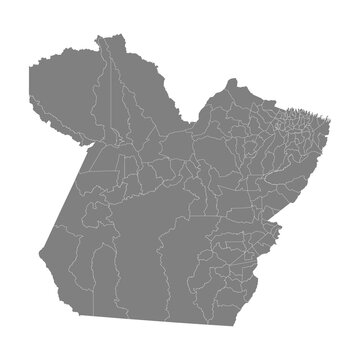 High Quality map of Para is a state of Brazil, with borders of the municipalities