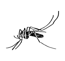 Mosquito, gnat, midge, anopheles. illustration vector. Target on mosquito. Mosquitoes carry many disease such as dengue fever, zika disease,enchaphalitits and else.