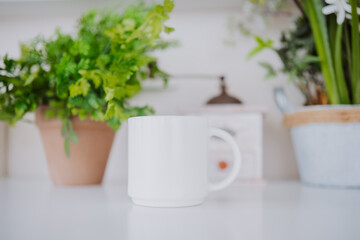 Morning coffee in a cozy kitchen with houseplants and natural light