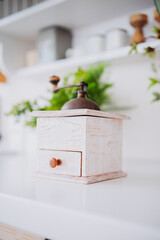 Vintage coffee grinder placed on a kitchen counter surrounded by greenery