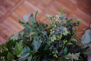 Nature-inspired arrangement of various green plants on a wooden surface