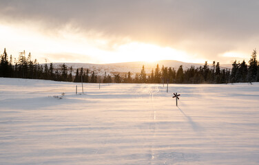 A frozen nordic ski track at dawn, while high winds blow snow across the landscape