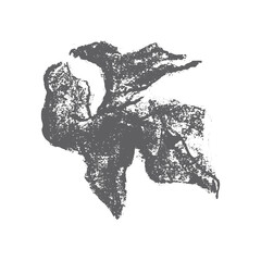 Hand drawn pumpkin leaf drawing. Vector floral squash symbol. Organic pumpkin foliage illustration with charcoal drawing, pencil doodle texture. Botanical sketch.