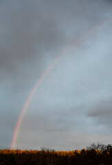 Stunning rainbow rising above golden, sunlit trees in Stockholm, Sweden