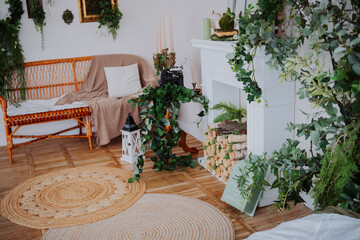 Cozy indoor living space with natural elements and greenery accents