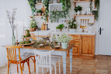 Beautifully arranged kitchen with plants and natural decor elements