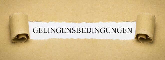 Gelingensbedingungen