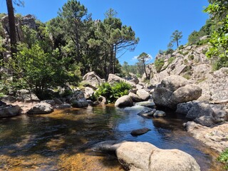 canyon river at piscia di gallo ghjaddu, corsica, france
