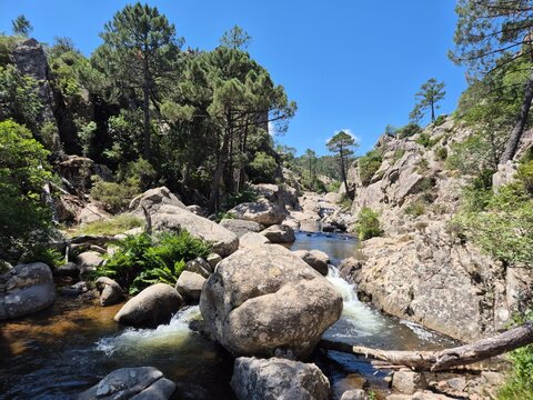 canyon river at piscia di gallo ghjaddu, corsica, france