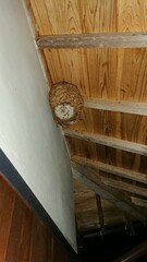 2151)japanese yellow hornet nest under the eaves on the second floor(Photo taken at 20:07 on august 21, 2017)