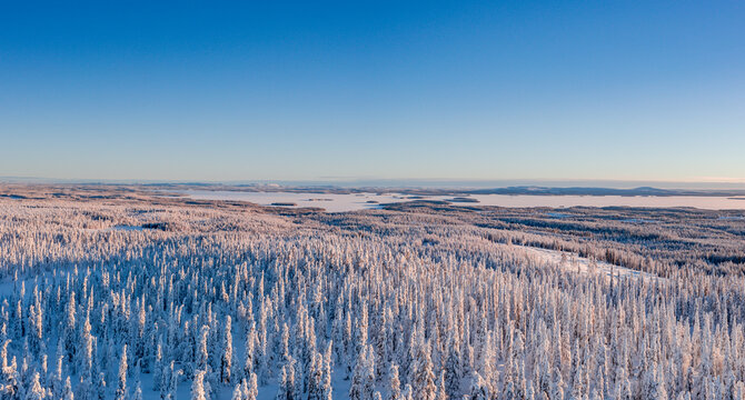 winter landscape at sunset