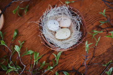 Decorative nest with colorful eggs surrounded by greenery on wooden table