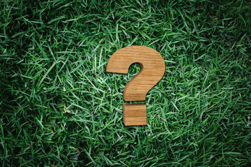 Environmental Question: Wooden Question Mark on Grass Background Symbolizing Inquiry into Sustainability and Eco-Friendly Practices
