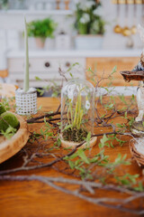 Decorative table arrangement with glass cloche and greenery in a cozy setting
