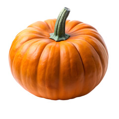 Gerbera flower on transparent background