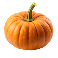 Gerbera flower on transparent background