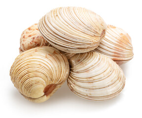 Edible raw hard clams isolated on white background. Delicacy food.