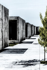 Fototapeta premium Modern Architectural Marvel: A Harmonious Blend of Wood and Concrete Set Amidst a Captivating Landscape with Intriguing Shadows and Contemporary Design