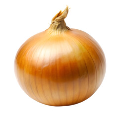 Onion on transparent background