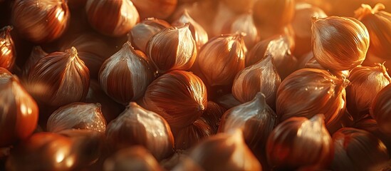 Close up of shiny brown hazelnuts stacked together with warm golden hues in the background highlighting the texture and natural beauty of nuts