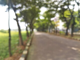 Blurred or defocused background of a cool green tree lined road