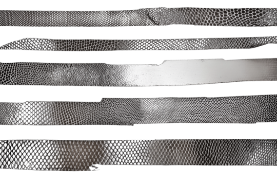 Set of Faux snakeskin tape stripes in metallic pewter isolated on transparent white background