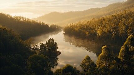 Serene sunrise over a calm lake nestled in a lush green forest, reflecting the golden light.
