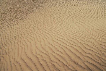 A beautiful view of the desert sands

