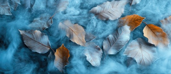 Close-up of autumn leaves in shades of brown and orange surrounded by soft blue mist in a foggy atmosphere creating a serene natural scene