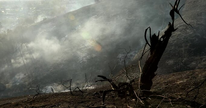 Smoke passes over a scorched landscape and a tree lays dead in the aftermath of a wildfire in the foothills of California, USA.