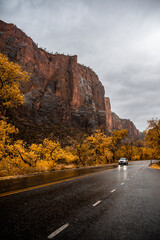 ZION NATIONAL PARK