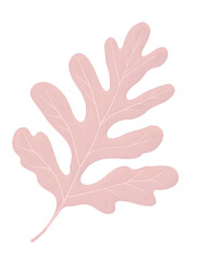 Obraz premium Pink leaf illustration with detailed veins on transparent background