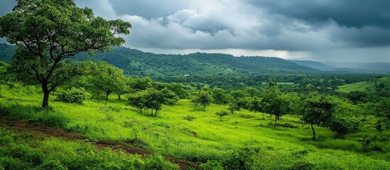 Lush green countryside landscape under a cloudy sky with rolling hills and trees creating a serene and tranquil natural setting.
