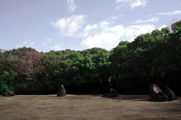 Dedicated to the next future..