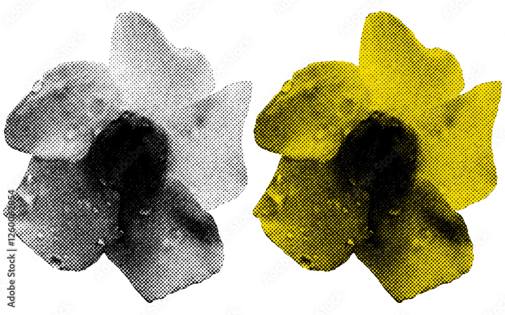 Fototapete A high-contrast halftone style PNG illustration featuring a Flower with a transparent background. The design uses bold color and a retro, graphic print aesthetic. Ideal for poster and design project.