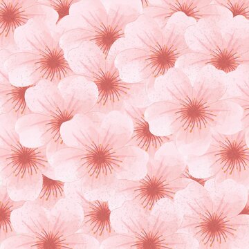 Pink Flower Pattern