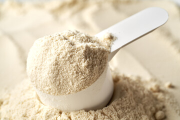 A scoop of whey protein powder