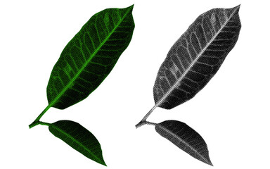 A high-contrast halftone style PNG illustration featuring a leaf with a transparent background. The design uses bold color and a retro, graphic print aesthetic. Ideal for poster and design project.