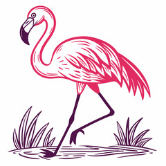 Obraz premium flamingo