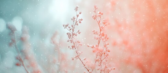 Delicate pink blossoms softly blurred against a serene turquoise and coral backdrop, creating an ethereal ambiance of tranquility and beauty.