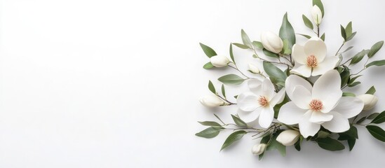 Obraz premium Magnolia flower bouquet featuring large white blossoms and green leaves, arranged elegantly on a soft white background, showcasing nature's beauty.