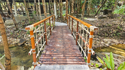 Wooden Footbridge in Lush Forest: A rustic wooden footbridge with rope railings spans a tranquil stream, nestled amidst a vibrant, verdant forest.  The path ahead beckons with mystery and serenity.