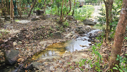 Serene Stream in the Woods: A tranquil stream meanders through a lush forest, its crystal-clear waters reflecting the surrounding trees and rocks.	