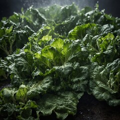 Freshly harvested greens misted with water to keep them fresh.